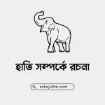 হাতি সম্পর্কে রচনা