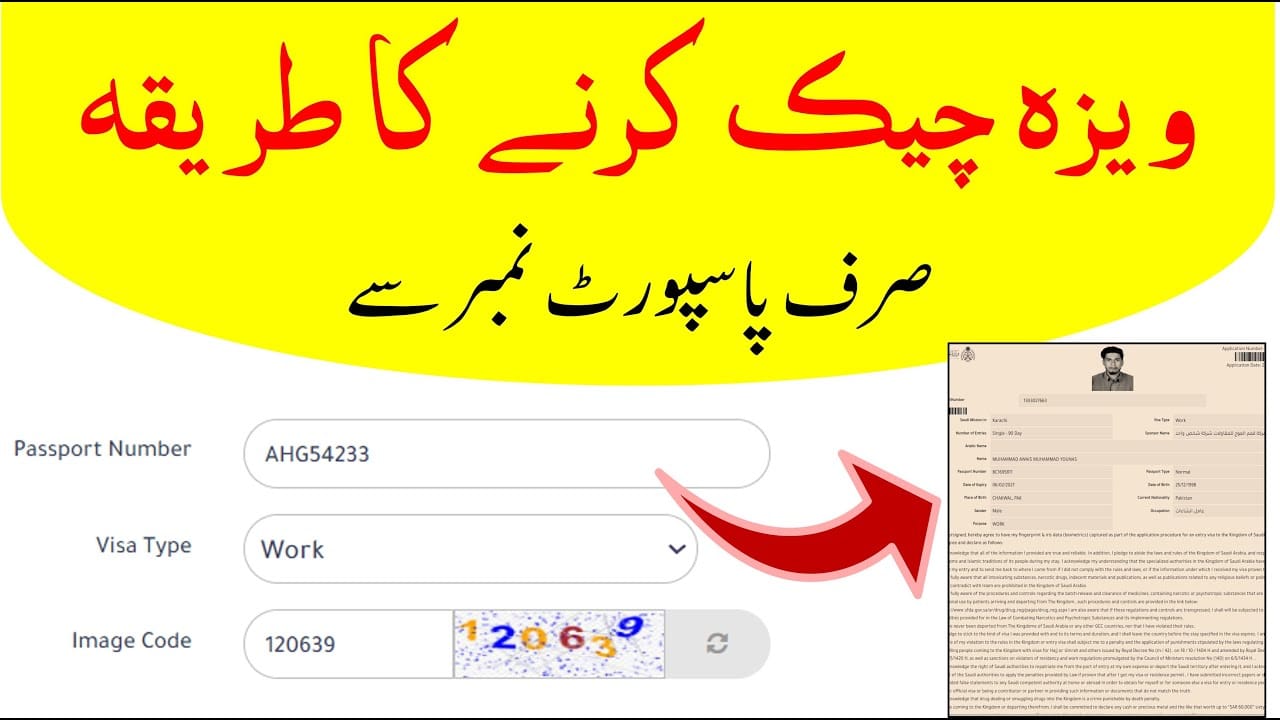 Visa Check Online by Passport Number Saudi Arabia